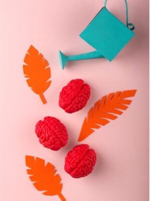 Imagen 1 Svg+xml,%3Csvg%20xmlns%3D%27http%3A%2F%2Fwww.w3